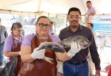 Apatzingán acerca pescado de calidad a bajo costo para las familias en temporada de Cuaresma.